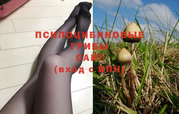Альфа ПВП Богородицк